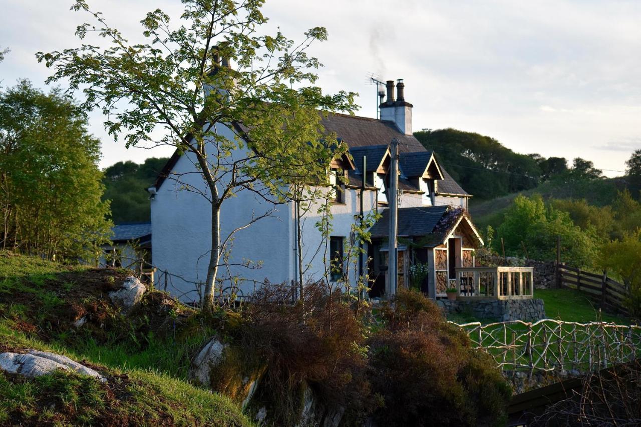 Bed & Breakfast Ardmore House 3*