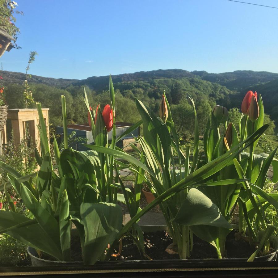 Ardmore House Bed & Breakfast